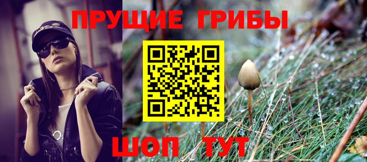 Псилоцибиновые грибы ЛСД  Псилоцибиновые грибы Psilocybine cubensis  Вход с VPN  Салават 